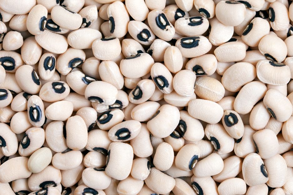 Beans